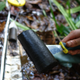 Peat in the Cuvette Central. Image: Simon Lewis